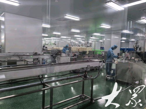 向 新 發(fā)力 從連年虧損到全國前三,這家淄博醫(yī)療器械企業(yè)12種產品填補國內空白